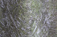 Arnprior fibreglass roof work